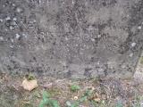 image of grave number 366288